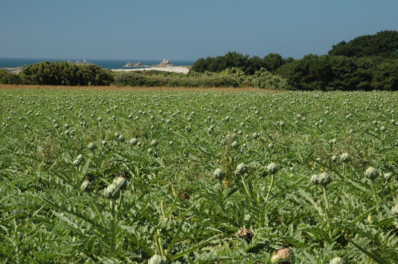 Image de Bretagne